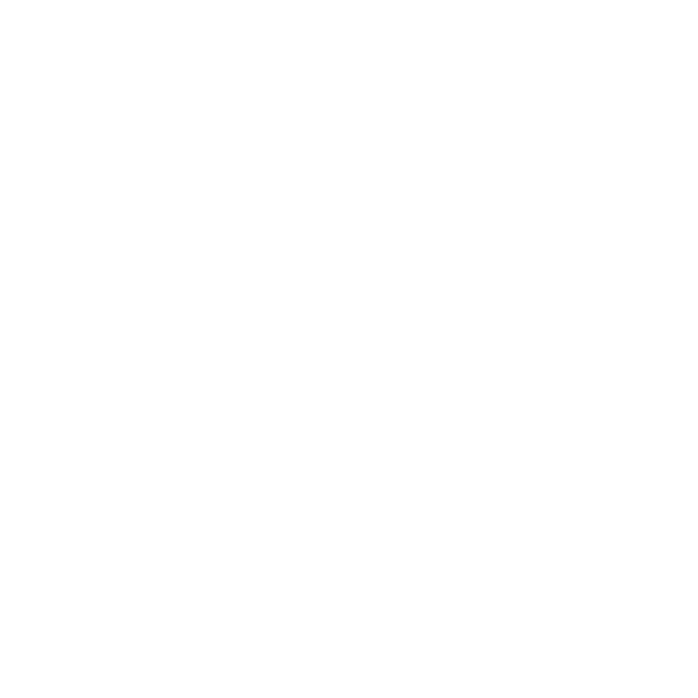 THE SOURCE logo