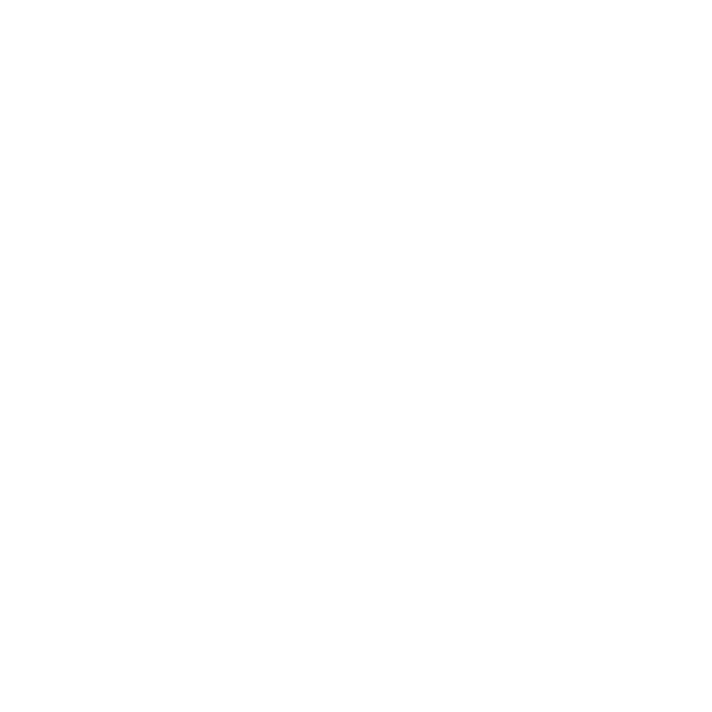 POLVO logo